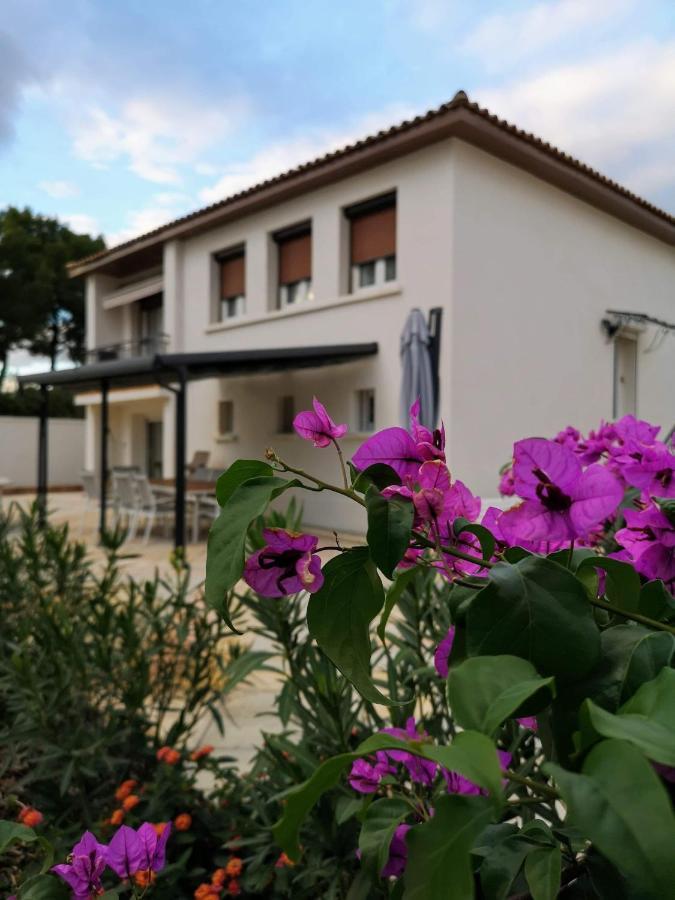 Maison De Charme Castries Εξωτερικό φωτογραφία